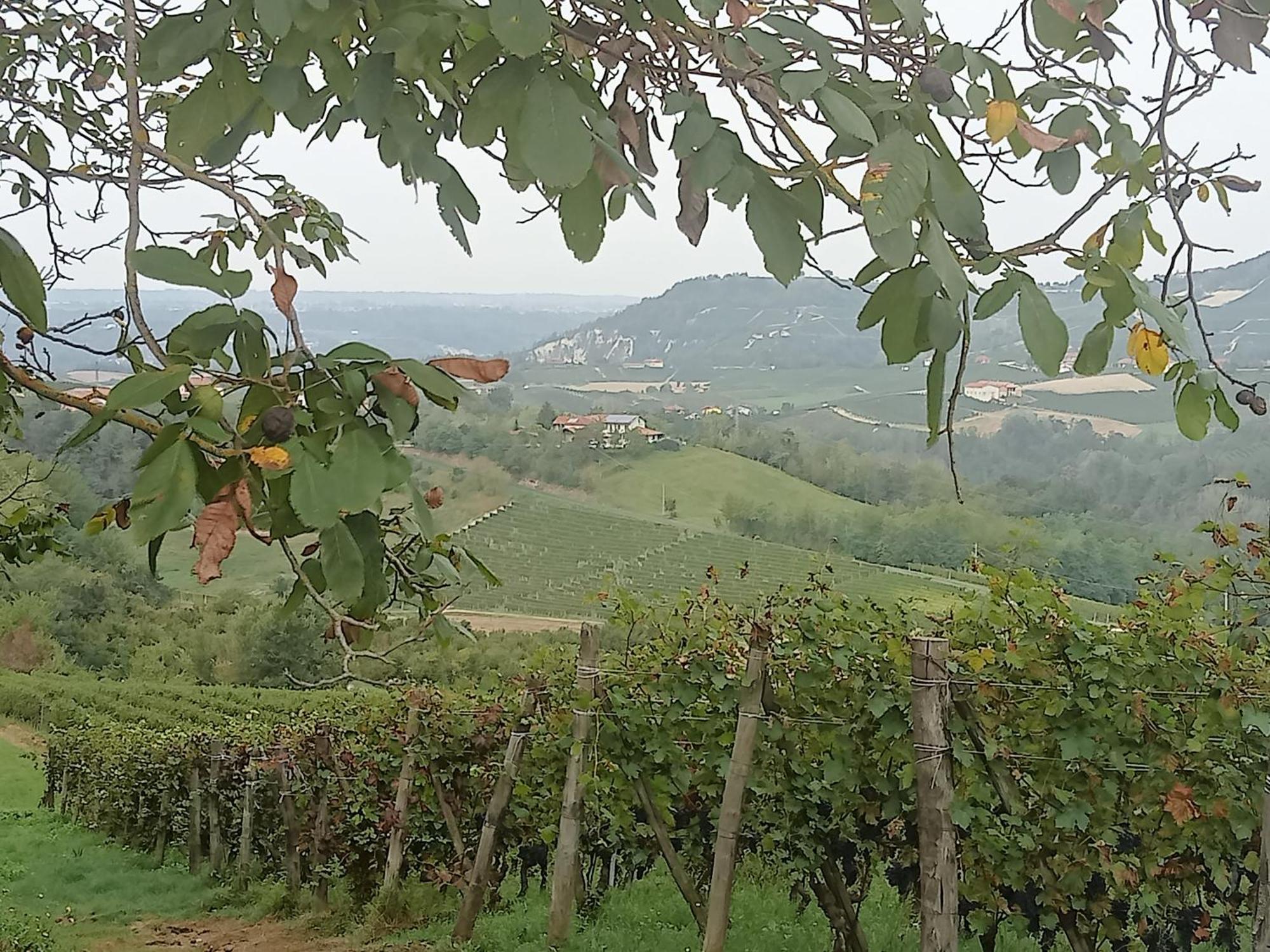 Agriturismo Bric Di Gai Monforte dʼAlba Εξωτερικό φωτογραφία