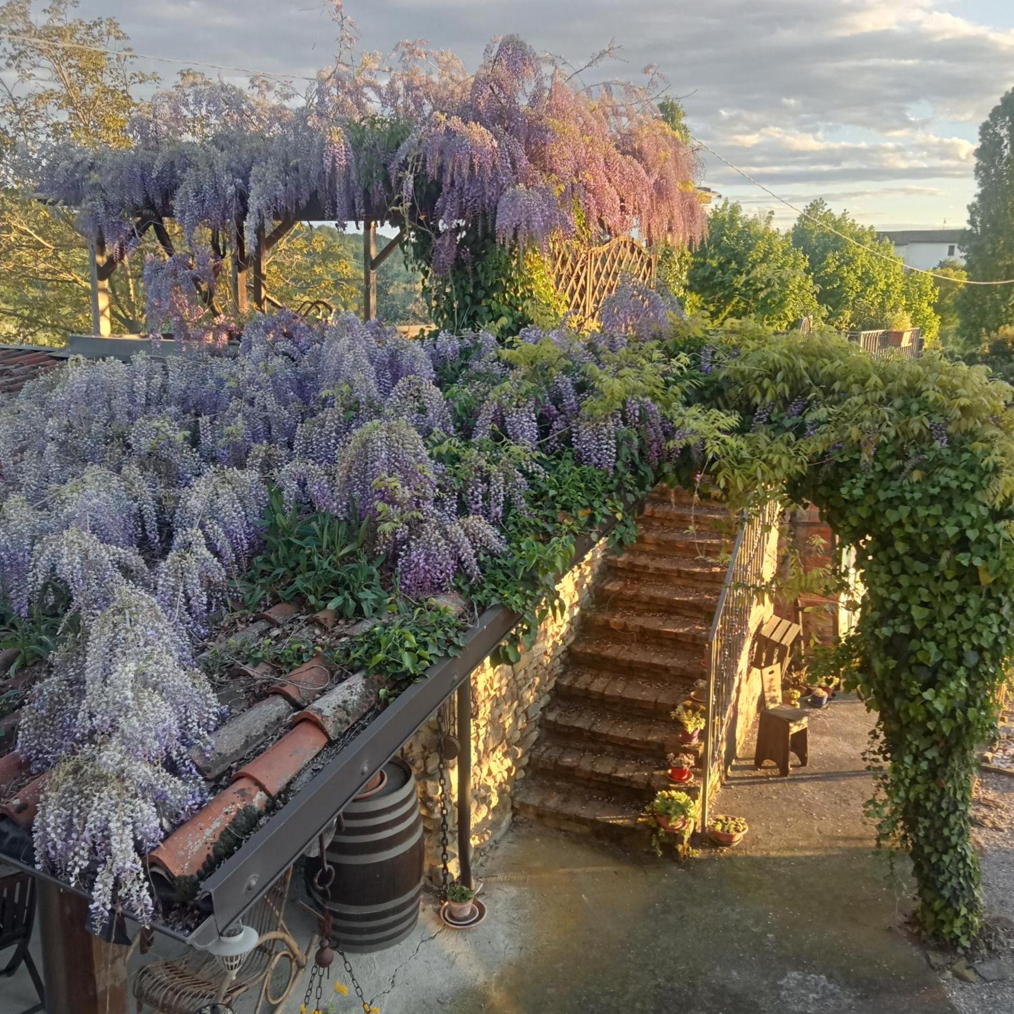 Agriturismo Bric Di Gai Monforte dʼAlba Εξωτερικό φωτογραφία